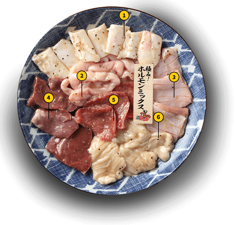 塩ホルモンミックス